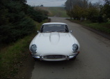 Jaguar E-type /White - 1965/