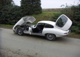 Jaguar E-type /White - 1965/