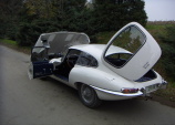 Jaguar E-type /White - 1965/