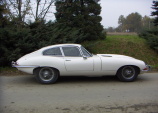 Jaguar E-type /White - 1965/