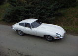 Jaguar E-type /White - 1965/